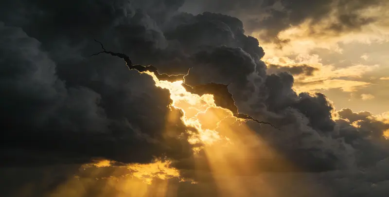 廊坊肺癌12基因ctDNA突变检测(血液）图片1